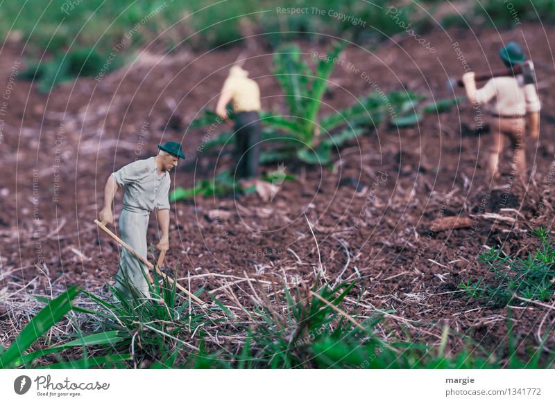 Miniwelten - Gardening II Model-making Model railroad Work and employment Gardener Working in the fields Horticulture Agriculture Forestry Human being Masculine