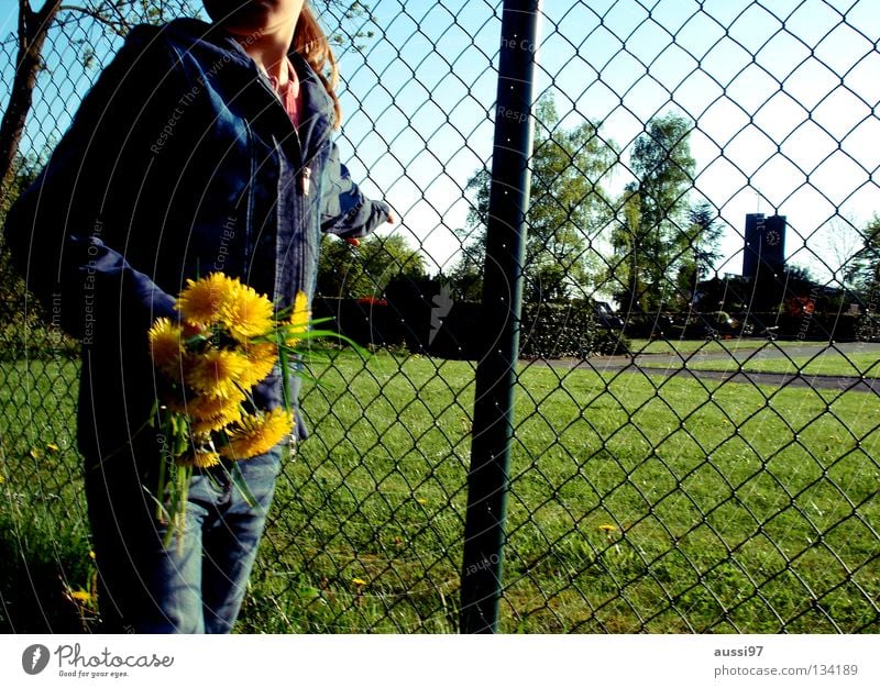 Picked for you Small Flower Meadow Grass To hold on To go for a walk Summer Leisure and hobbies Grief Distress Catch children's leisure Sunday stroll Nature