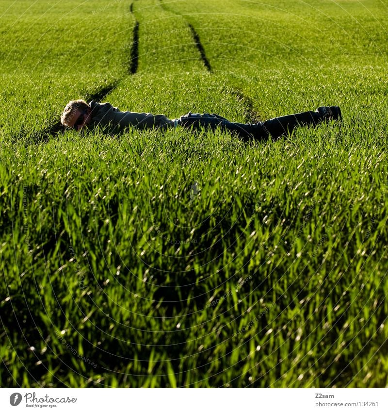 balanced Contentment Relaxation Green Meadow Stripe Field Black Man Masculine Blonde Summer Physics Tree Human being Lie flicker Between about Bridge Line