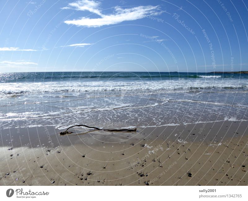 breathe a sigh of relief... Environment Nature Beautiful weather Waves Coast Beach Ocean Atlantic Ocean Fluid Healthy Maritime Serene Calm Contentment