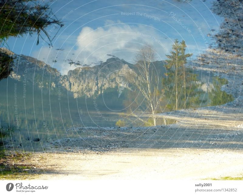 Karwendel in the mirror... Nature Earth Autumn Beautiful weather Tree Rock Mountain Alps Hiking Fantastic Natural Bizarre Loneliness Idyll Stagnating Puddle