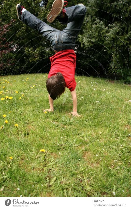 hand stand Colour photo Exterior shot Copy Space bottom Neutral Background Day Shadow Sunlight Deep depth of field Central perspective Long shot Full-length