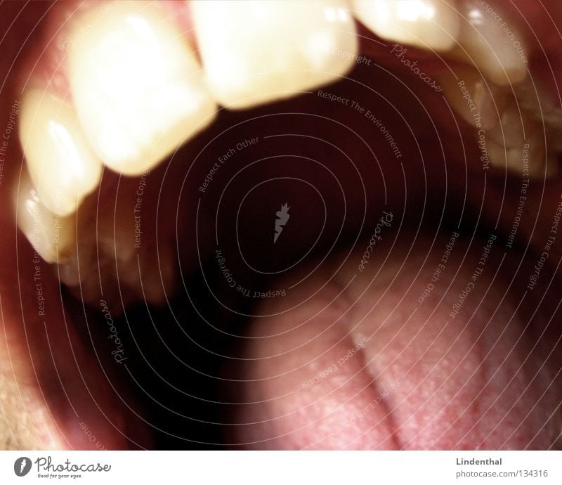 EATING YOU To feed Healthy Nutrition Tooth space Pharynx Vampire Fear Panic Mouth Neck Nature you Tongue cannibal Point Teeth