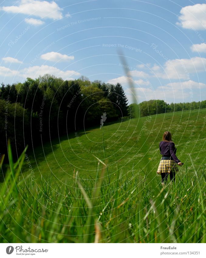 summer walk Sunbeam To enjoy Meadow Clouds White Green Flower Daisy Dandelion Hill Summer Seasons Mini skirt Top Yellow Sky Moody Relaxation Wrap Stand Hiking