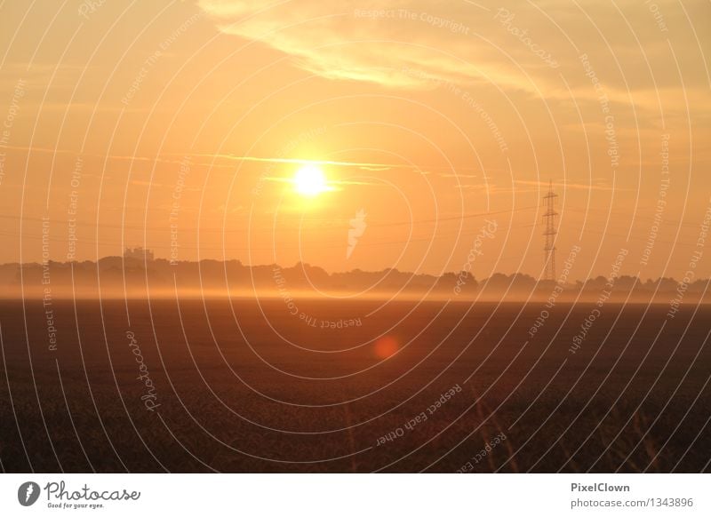 Sunset Harmonious Well-being Vacation & Travel Trip Hiking Energy industry Art Environment Nature Landscape Sunrise Field Dream Beautiful Orange Emotions Moody