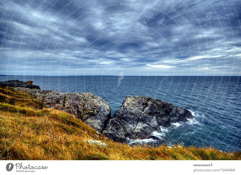 sea breeze Nature Landscape Clouds Horizon Weather Bad weather Wind Gale Grass Wild plant Hill Rock Waves Coast Ocean Threat Dark Fantastic Blue Gray Green