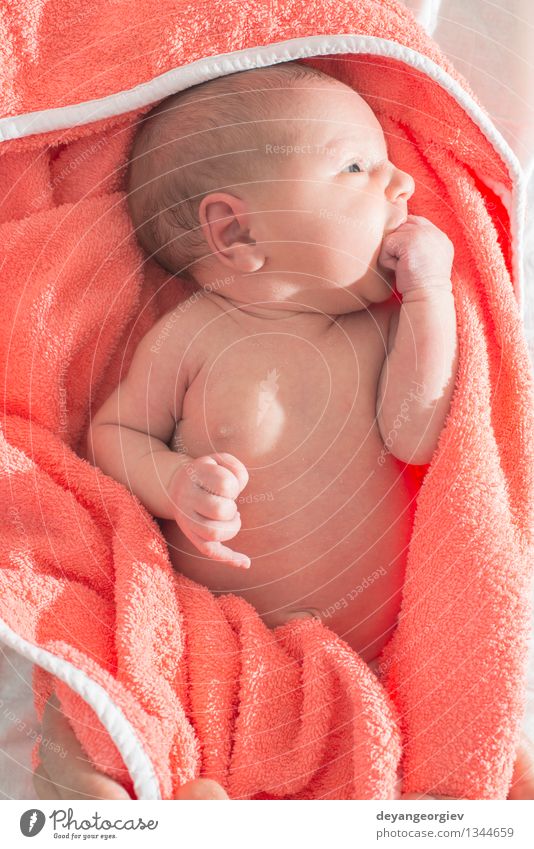 Bathing newborn baby girl Happy Beautiful Skin Face Bathtub Bathroom Child Human being Baby Girl Boy (child) Infancy Small Wet New Cute Clean White Newborn