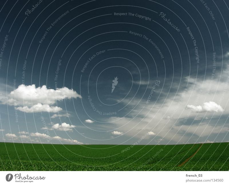 I love sunny sundays Augsburg Clouds Sky Gray Pol-filter Grass Field Horizon Green Altocumulus floccus Agriculture Empty Far-off places Sunday To enjoy