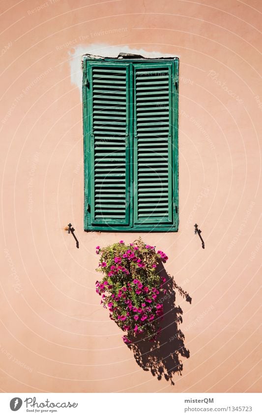 finestra VII Art Esthetic Window Window pane Shutter Window board View from a window Window transom and mullion Glazed facade Window frame Windowsill Flower