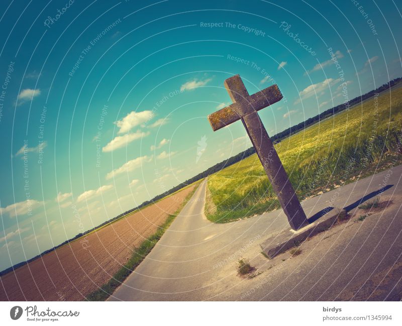 Cross Sky Cloudless sky Clouds Horizon Beautiful weather Agricultural crop Grain field Field Crossroads Footpath Crucifix Positive Retro Warmth Trust To console