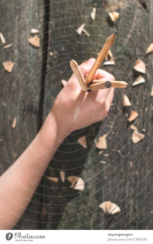 Vintage natural wooden pencils Design Desk Table School Tool Group Nature Paper Old Draw Natural Retro Brown White Creativity vintage Pencil Sharpener space