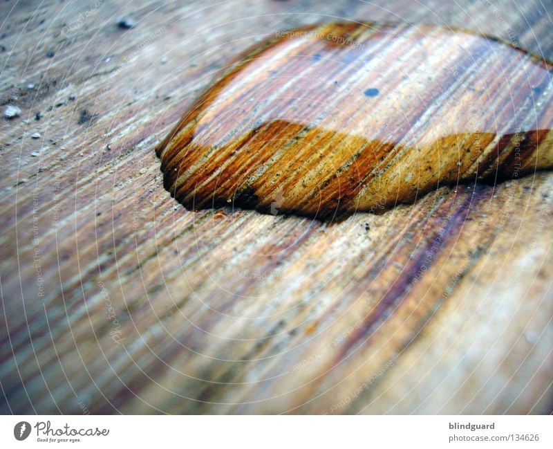 Drop On Wood Close-up Glittering Wet Damp Storm Pink Enlarged Water Black Dark Acid rain Environment Small Large Surface tension Wood flour Weather Rough