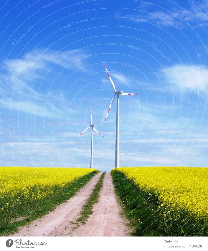 Renewable Energies Summer Sun Hiking Technology Energy industry Renewable energy Solar Power Wind energy plant Nature Landscape Air Sky Clouds Horizon Spring