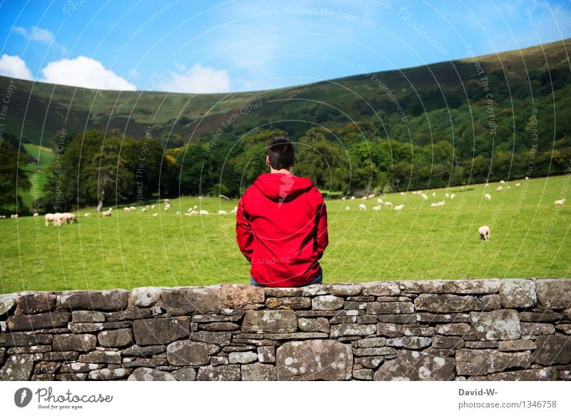 contrast Well-being Contentment Relaxation Calm Vacation & Travel Tourism Trip Freedom Summer vacation Hiking Human being Masculine Young man