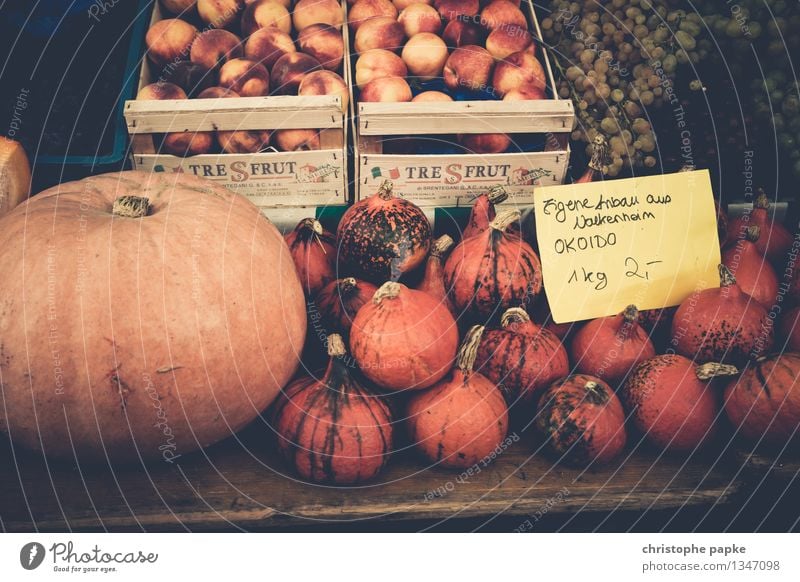 Pumpkins on market for sale Organic produce Food Nutrition Vegetarian diet Shopping Greengrocer Fresh Healthy Markets Vegetable Farmer's market Market stall