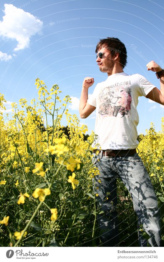 once through the car wash Flower Spring Summer Flower field Strong Clouds Flowerbed Sky Blue sunglasses Joy Brave Happy Freedom