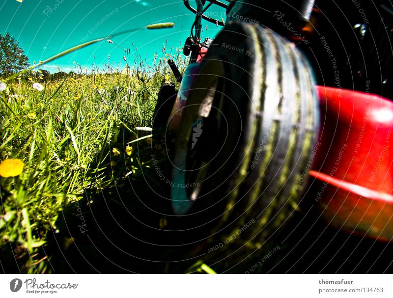 Lawn mower in fast motion Summer Meadow Lawnmower Crash Mow the lawn Grass Short Loud Arrangement Clean Calm Deckchair Garden plot Front garden