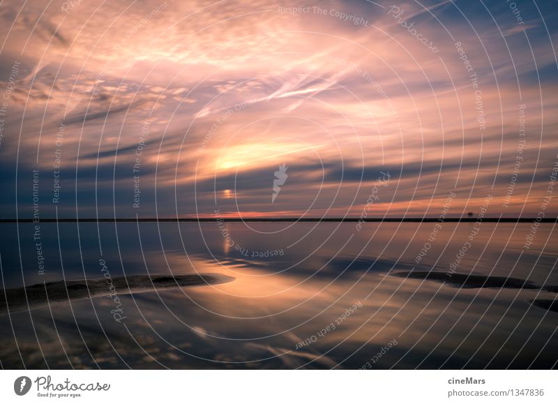 Enjoy the infinity of the sea Environment Nature Landscape Sand Water Sky Clouds Sunrise Sunset Summer Weather Beautiful weather Warmth Beach North Sea Ocean