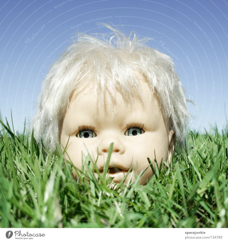 In the grass Grass Meadow Green Toys Threat Alarming Blonde Chucky Creepy Horror film Evil Sweet Cute Whimsical Headless Joy Nature Sky Blue Doll Eyes Fear