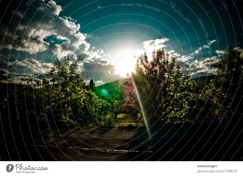 Trees, bushes, clouds, sky ... Summer Sun Nature Plant Sky Clouds Sunlight Beautiful weather Bushes Hill Bright Warmth Blue Green Colour Idyll Environment