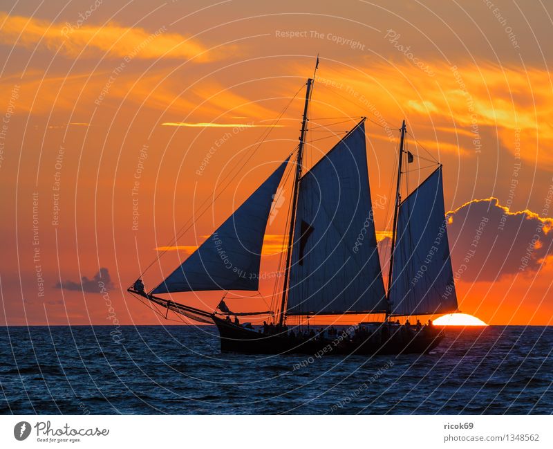 Hanse Sail Vacation & Travel Waves Sailing Water Clouds Coast Baltic Sea Ocean Sailing ship Watercraft Maritime Blue Romance Idyll Nature Tourism Tradition