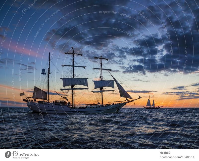 Hanse Sail Vacation & Travel Waves Sailing Water Clouds Coast Baltic Sea Ocean Sailing ship Watercraft Maritime Blue Adventure Tourism Tradition Windjammer