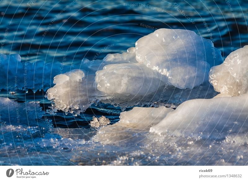 ice Winter Water Ice Frost Coast Baltic Sea Ocean Cold Nature Figure Frozen Ice floe Baltic coast chill ice formation Seasons Colour photo Multicoloured