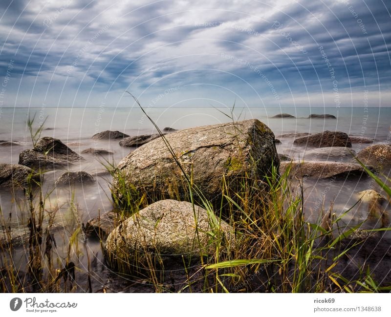 Baltic coast Vacation & Travel Nature Landscape Rock Coast Baltic Sea Ocean Stone Blue Romance Idyll Calm Stone block Sky Rügen Lohme