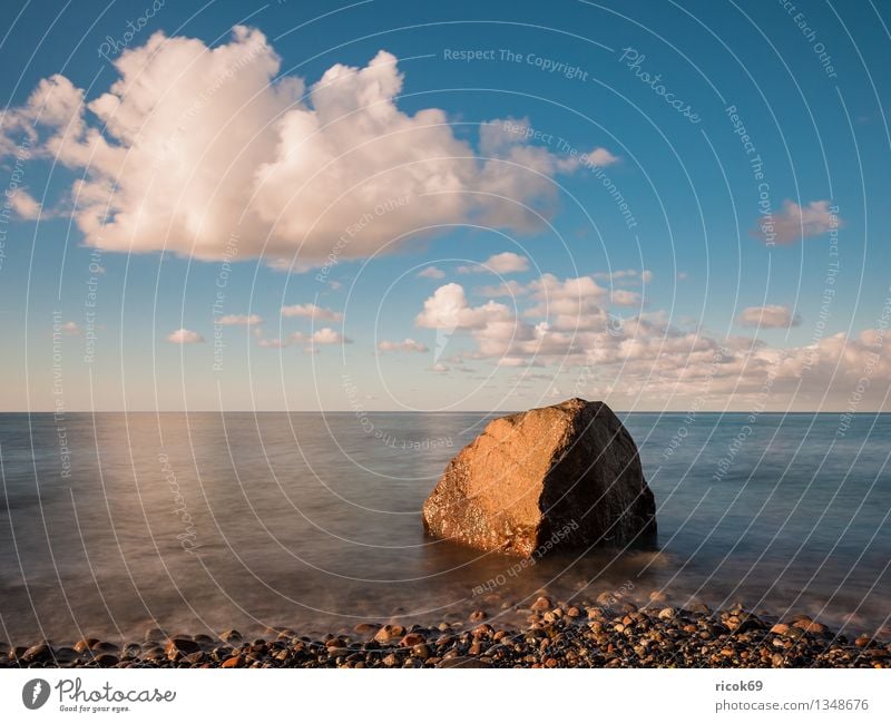 Baltic coast Vacation & Travel Beach Ocean Nature Landscape Water Clouds Rock Coast Baltic Sea Stone Blue Romance Idyll Calm Tourism Stone block