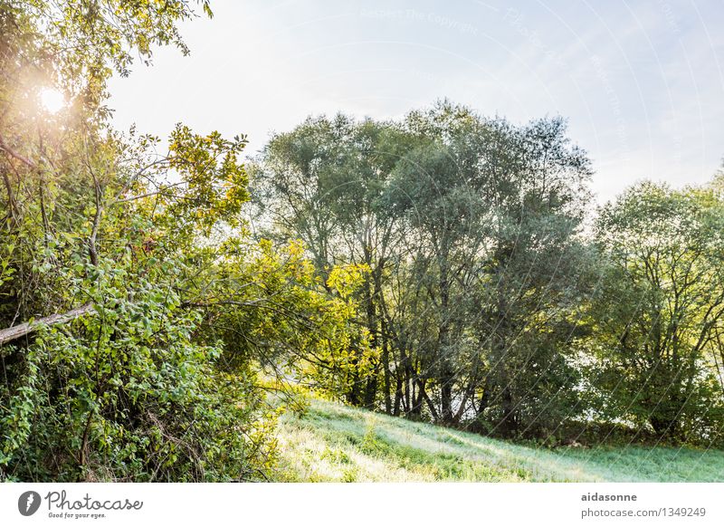 Landscape near Dachau Summer Forest Hill Infinity Positive Green Contentment Joie de vivre (Vitality) Peaceful Attentive Serene Bavaria Munich Colour photo