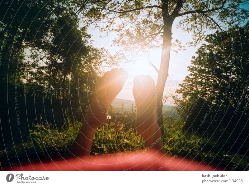 late summer Sun Meadow Hippie Awareness Indian Summer Nature Relaxation Feet Park Green Tree