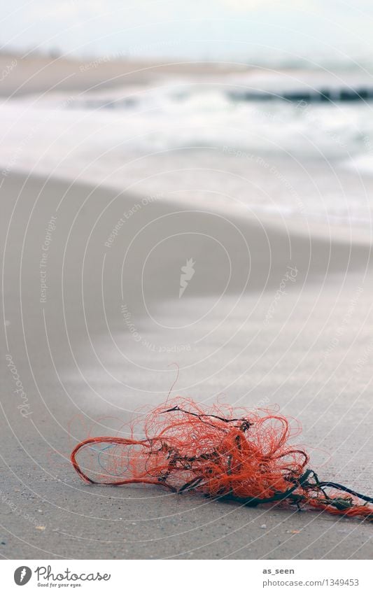 flotsam and jetsam Environment Nature Landscape Sand Water Wind Beach North Sea Baltic Sea Ocean Plastic Net Lie Authentic Simple Maritime Wet Brown Gray Orange