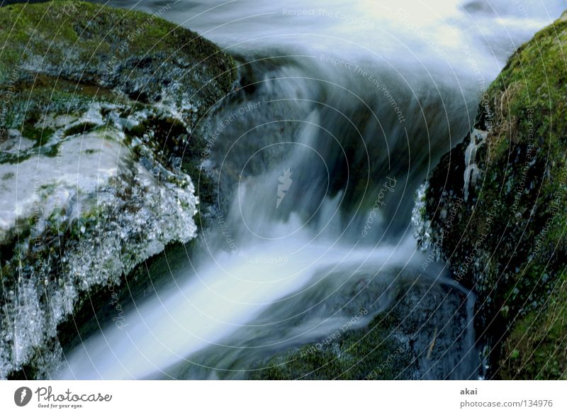 soft ice cream Landscape Water Brook River Waterfall Cold Soft Mountain stream Black Forest Schauinsland Highlands gray filter Long exposure Motion blur