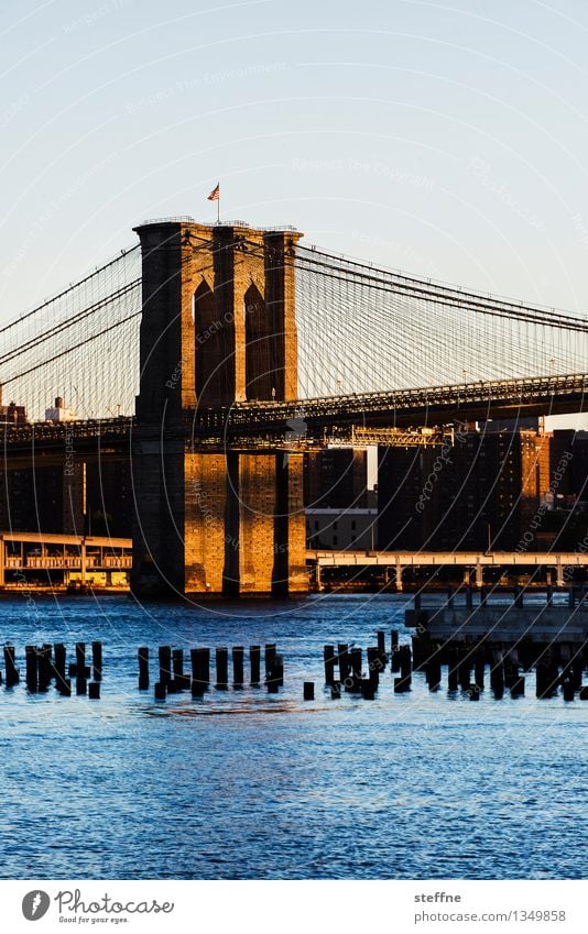 balancing Water Cloudless sky Sunrise Sunset Beautiful weather River East River Brooklyn Manhattan New York City USA Bridge Landmark Brooklyn Bridge Esthetic