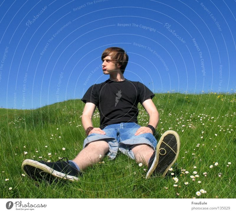 sit and feel big Sunbeam Meadow Green Flower Daisy Dandelion Hill Summer Seasons Man Cheek Large Strong Arrogant Illusion sun sunshine Sit Sky Blue Mountain