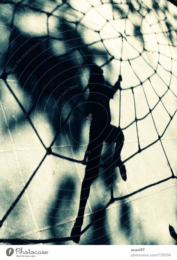 arachnoid Spider Playground Child spider's web urge to move superheroes Net black widow