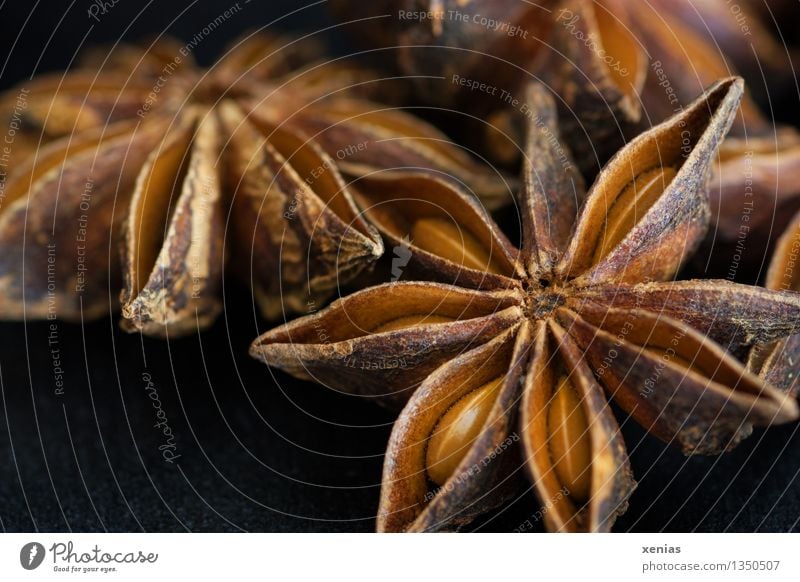 Macro shot of star anise Star aniseed Herbs and spices Fragrance Brown Black illicium verum Christmas & Advent essential oil pissed Dark background