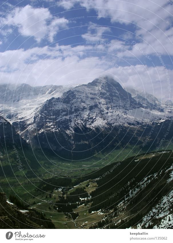 Eiger Grindelwald Switzerland Forest Mountain Sky Snow Ice Valley