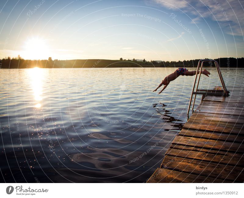 Teenager sring from a jetty headfirst into a lake Swimming & Bathing Vacation & Travel Summer vacation Boy (child) Youth (Young adults) 1 Human being