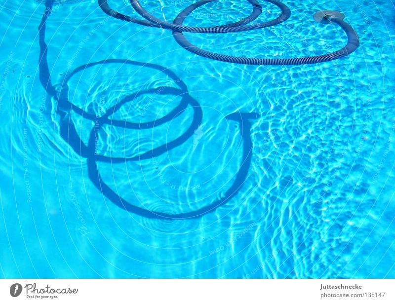 sea snake Hose Swimming pool Suck Cleaning Turquoise Bend Spring Summer Leisure and hobbies Vacuum pool Shadow Water Blue Rotate curled Garden Juttas snail