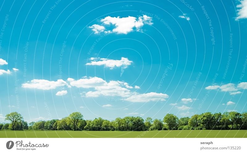 Open Scenery Background picture Meadow Field Clouds Plant Free space Relaxation Peace Vantage point Horizon Cyan Minimalistic Ease Easy Rural Ecological