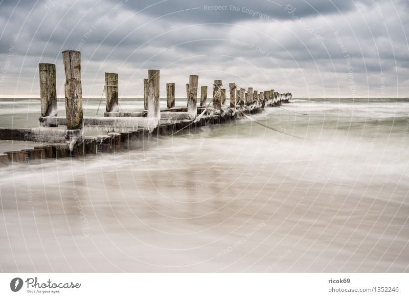 groyne Vacation & Travel Beach Winter Nature Landscape Water Clouds Coast Baltic Sea Ocean Cold Blue Idyll Calm Tourism Break water Ice Zingst Fischland Darss