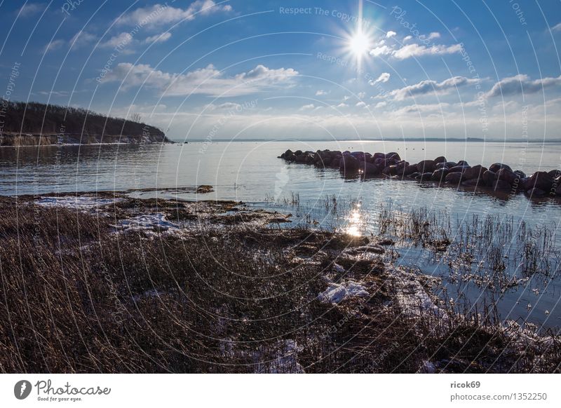 landscape Vacation & Travel Sun Beach Winter Nature Landscape Clouds Coast Baltic Sea Ocean Stone Cold Blue Idyll Calm Tourism Common Reed Sky Snow Ice