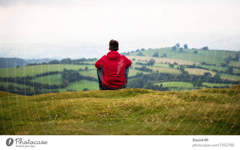 Red Jacket Human being Masculine Young man Youth (Young adults) Man Adults Life 1 Environment Nature Landscape Autumn Meadow To enjoy Vantage point