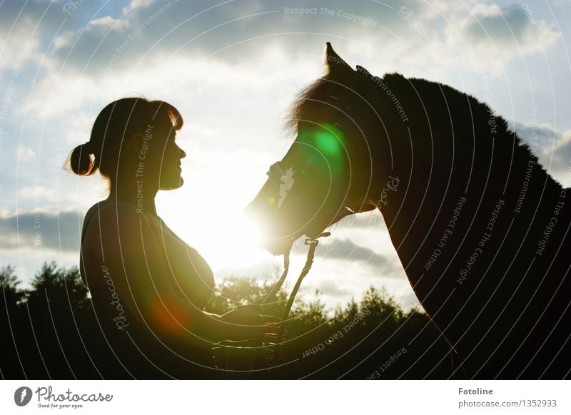 One heart and one soul! Human being Feminine Young woman Youth (Young adults) Woman Adults Head Environment Nature Plant Animal Sky Clouds Sun Summer