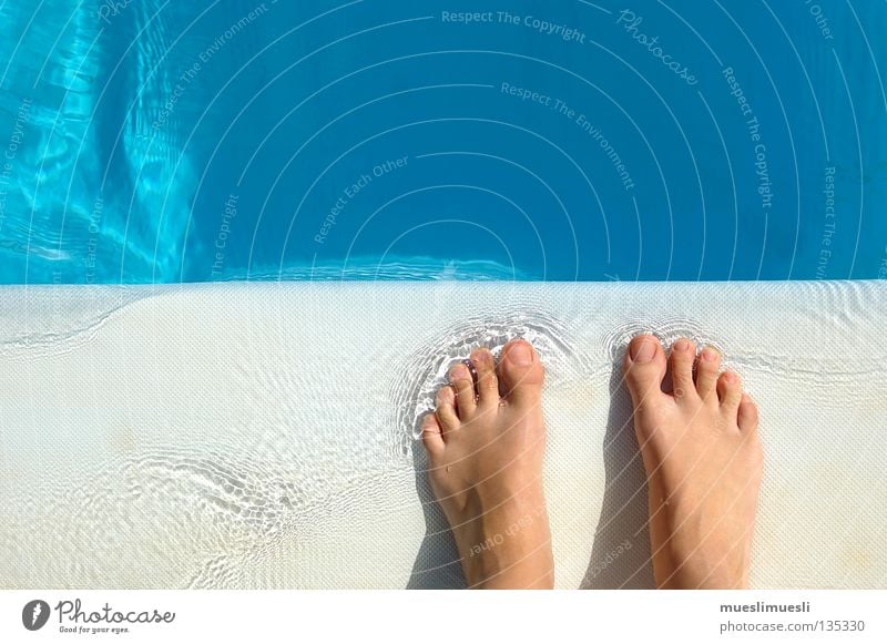 Clear view Swimming pool Madeira Portugal Vacation & Travel Summer Water Concentrate Feet Free Paradise Bubble