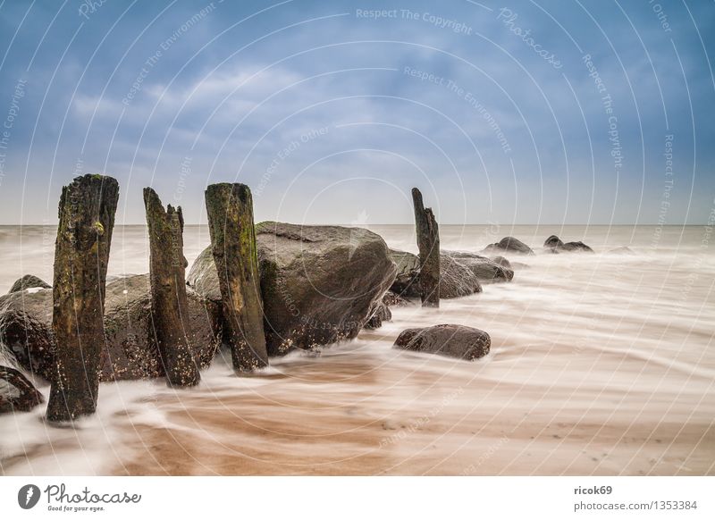 groyne Relaxation Vacation & Travel Beach Ocean Nature Landscape Water Clouds Coast Baltic Sea Stone Old Blue Romance Idyll Calm Tourism Break water Sky