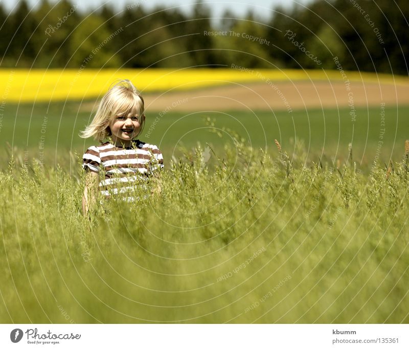 hide and seek Girl Oats Green Canola Spring mona fel Nature KBUMM Wind Hide