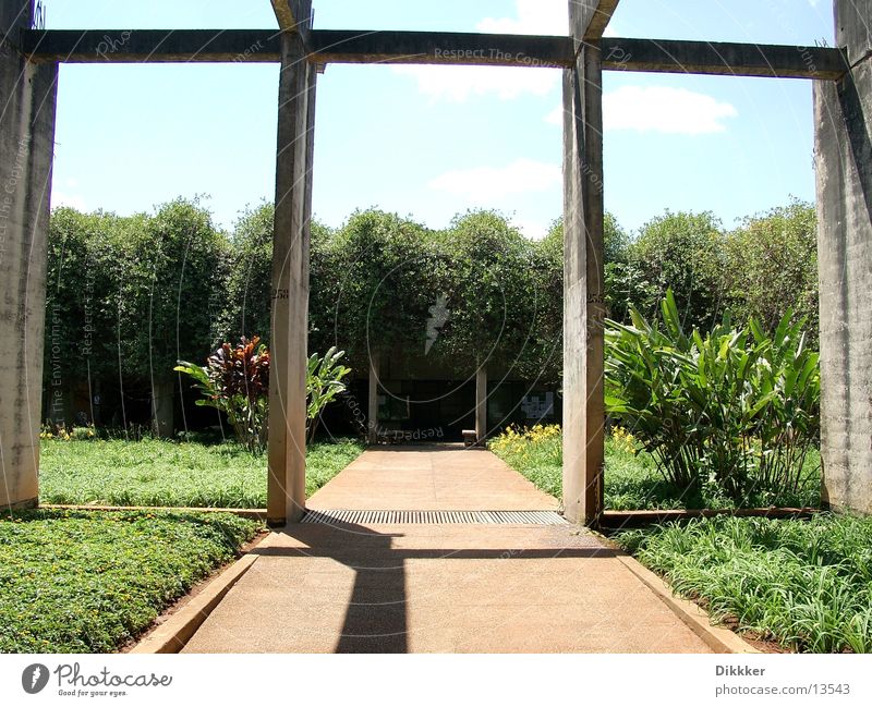 Ranz & Appeal, Brasilia Universidade Brasília Worm Green Plant Concrete Architecture Academic studies Niemeyer