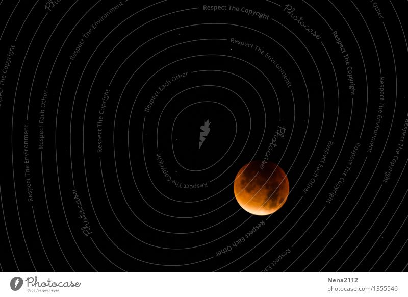 MoFi 4 - Total Environment Nature Elements Sky Heaven Night sky Moon Lunar eclipse Full  moon Esthetic Exceptional Threat Dark Fantastic Far-off places Gigantic